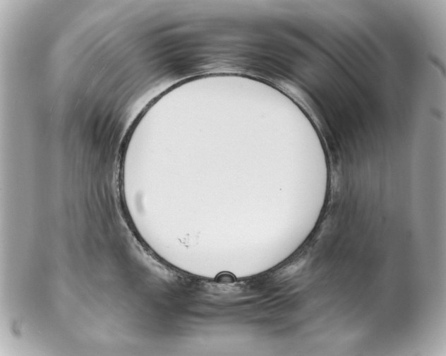 X0000102031149200808151334