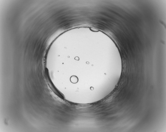 X0000102031151200808151334