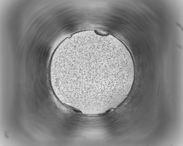 X0000102031152200808151334