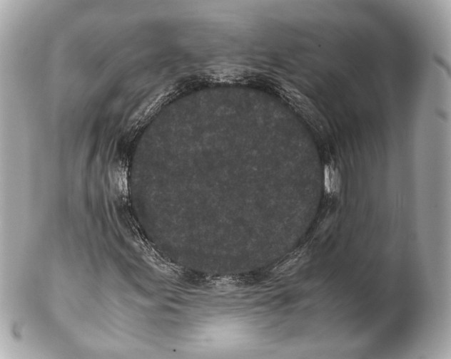 X0000102031155200808151333