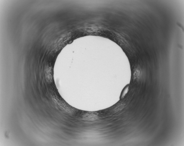 X0000102031156200808151333