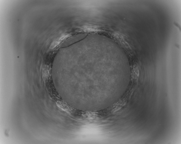 X0000102031157200808151333