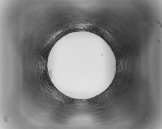 X0000102031158200808151333