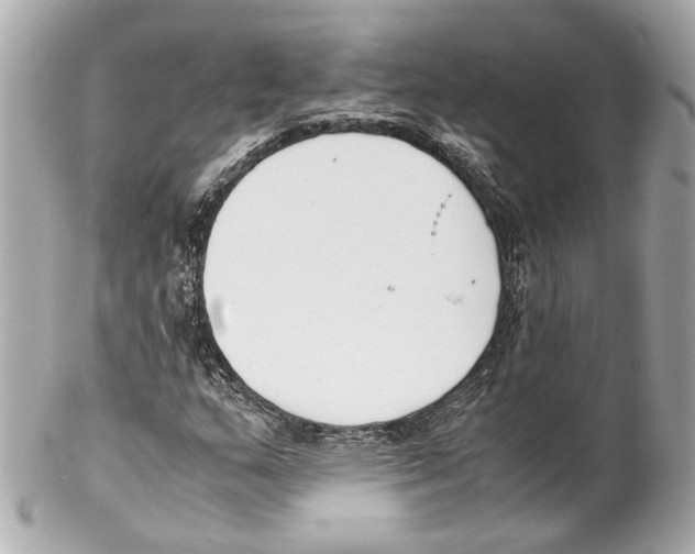 X0000102031159200808151333