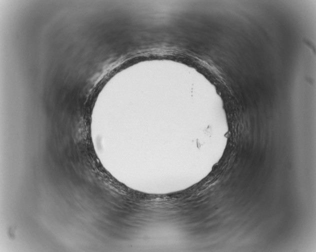 X0000102031160200808151333