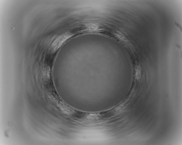 X0000102031161200808151333