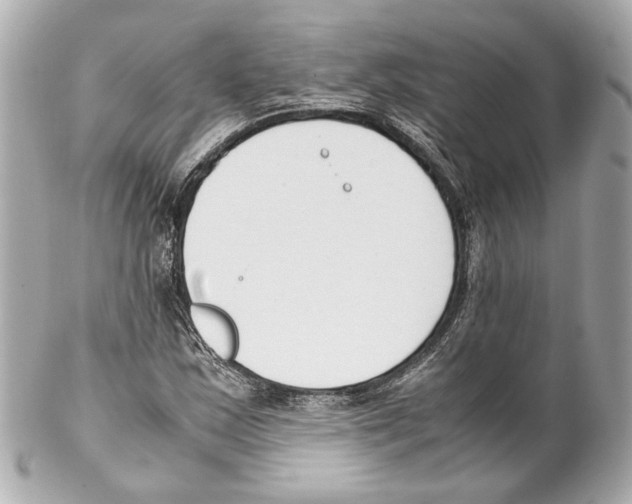 X0000102031163200808151333