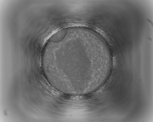 X0000102031165200808151333