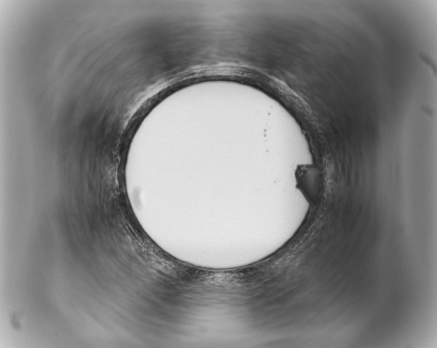 X0000102031166200808151333