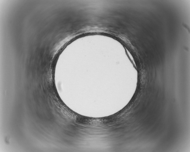 X0000102031167200808151333