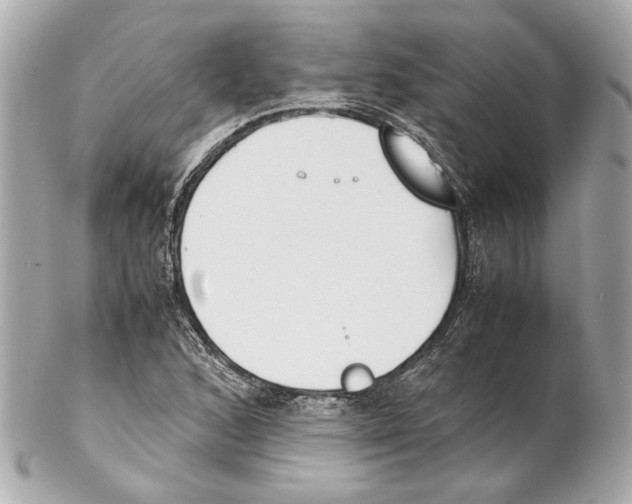 X0000102031168200808151333