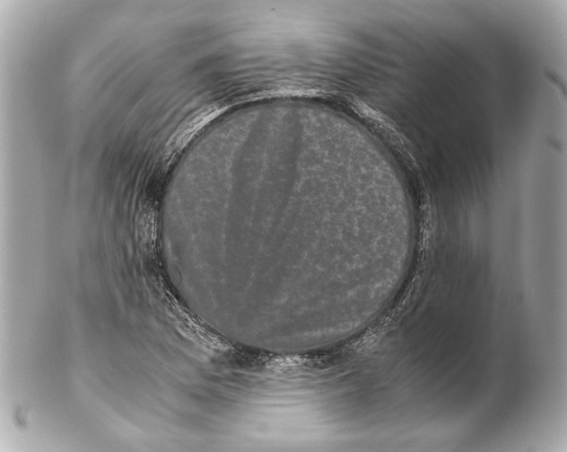 X0000102031169200808151333