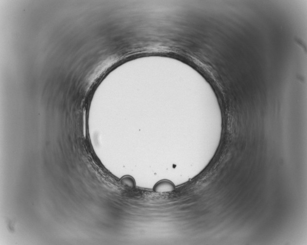 X0000102031171200808151333