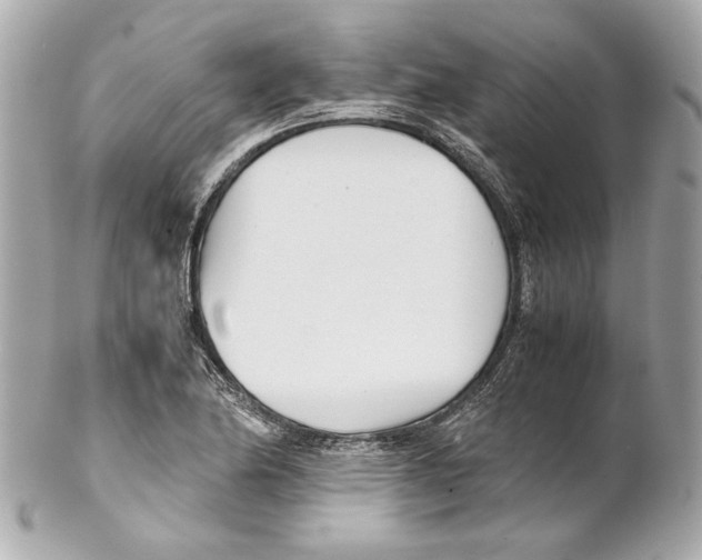 X0000102031174200808151333