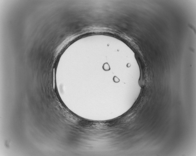 X0000102031175200808151333