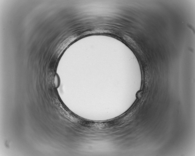 X0000102031177200808151333