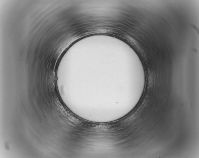 X0000102031178200808151333