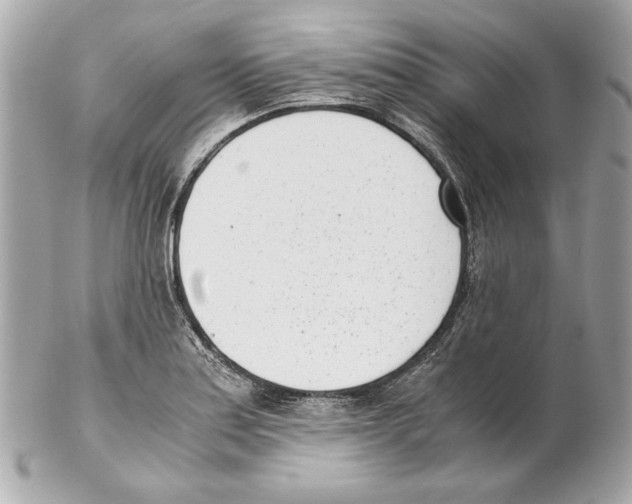 X0000102031179200808151333