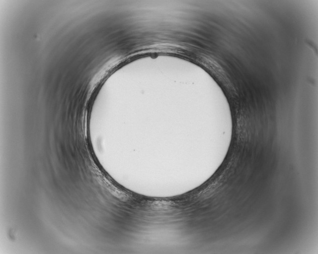 X0000102031180200808151333