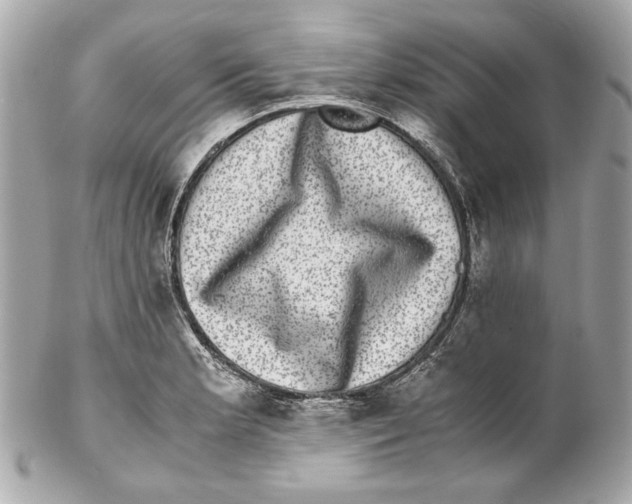 X0000102031181200808151333