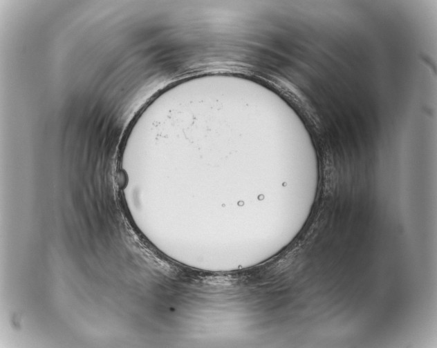 X0000102031182200808151333