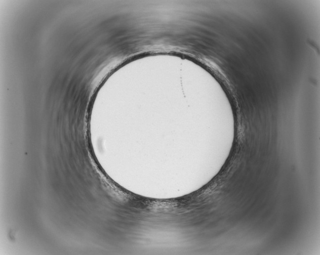 X0000102031183200808151333