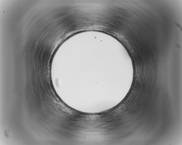 X0000102031184200808151333