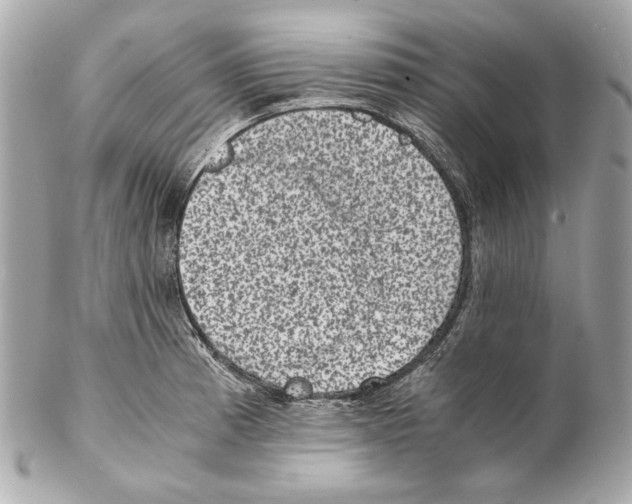 X0000102031185200808151333