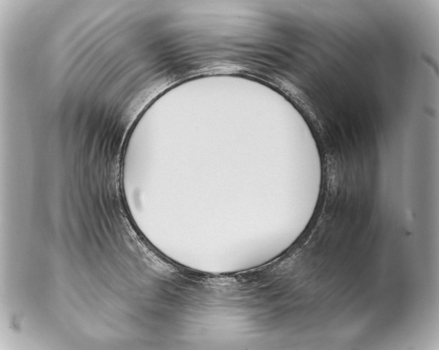 X0000102031186200808151333