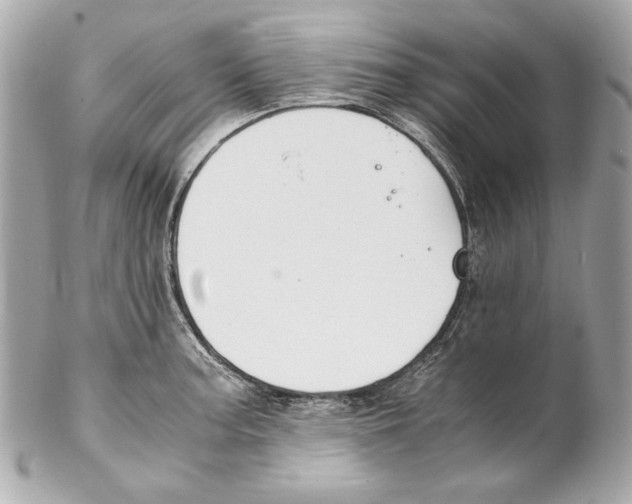 X0000102031187200808151333