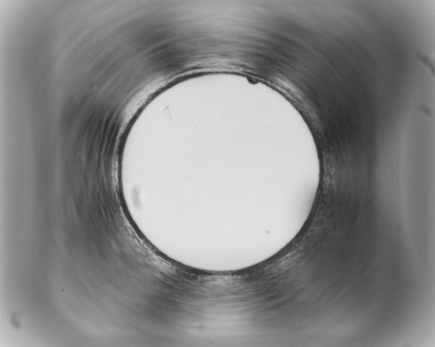 X0000102031188200808151333