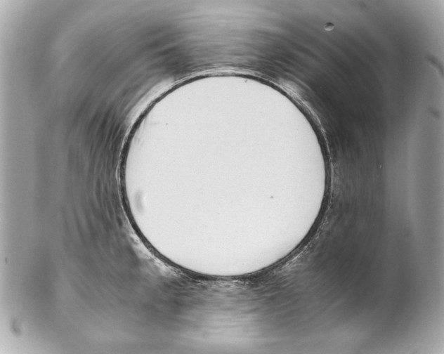 X0000102031189200808151333