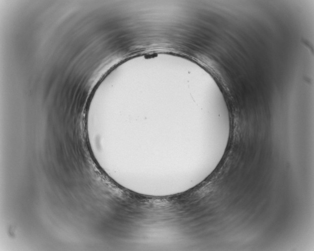 X0000102031190200808151333