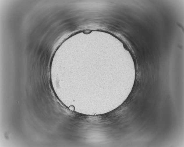 X0000102031191200808151333