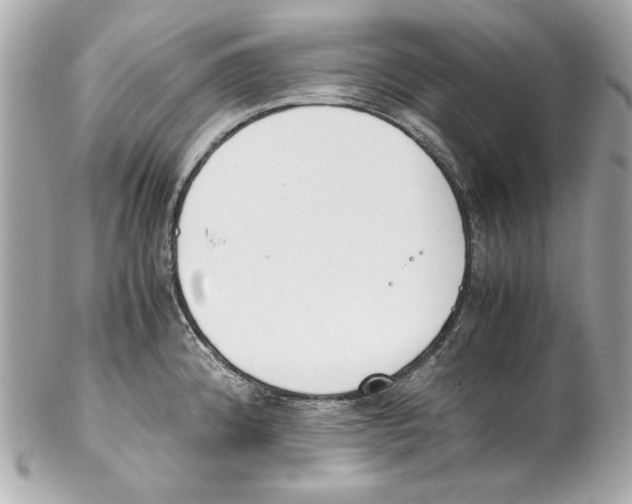 X0000102031192200808151333