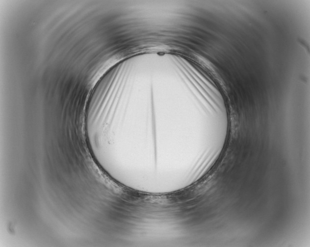 X0000102031194200808151333