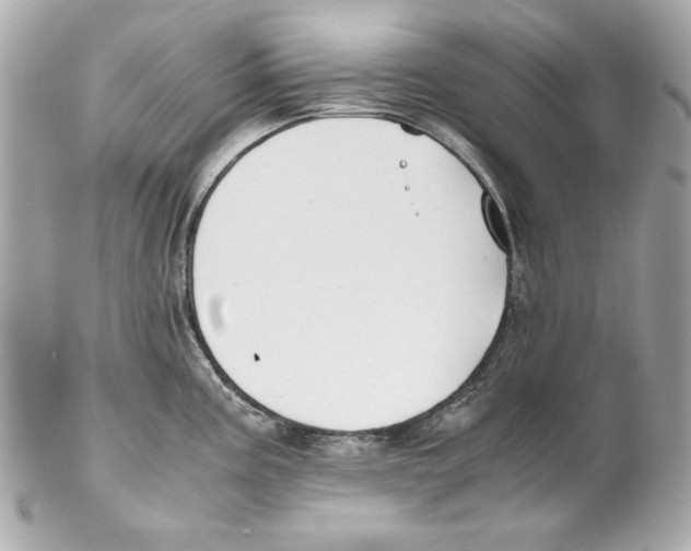 X0000102031195200808151333