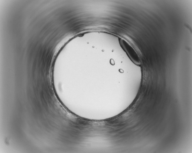 X0000102031196200808151333