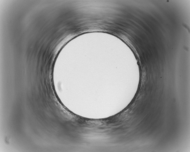 X0000102031197200808151333