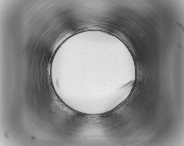 X0000102031198200808151333