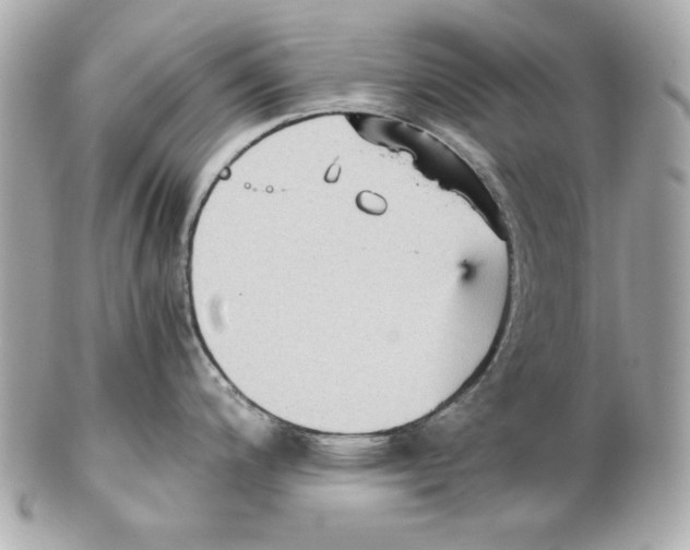 X0000102031200200808151333