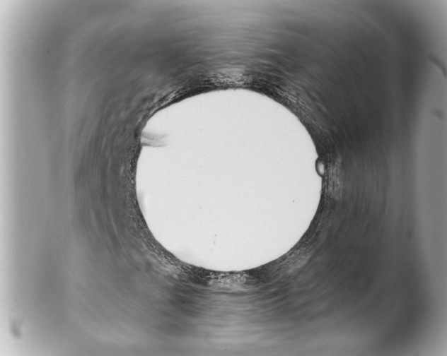 X0000102031201200808151332