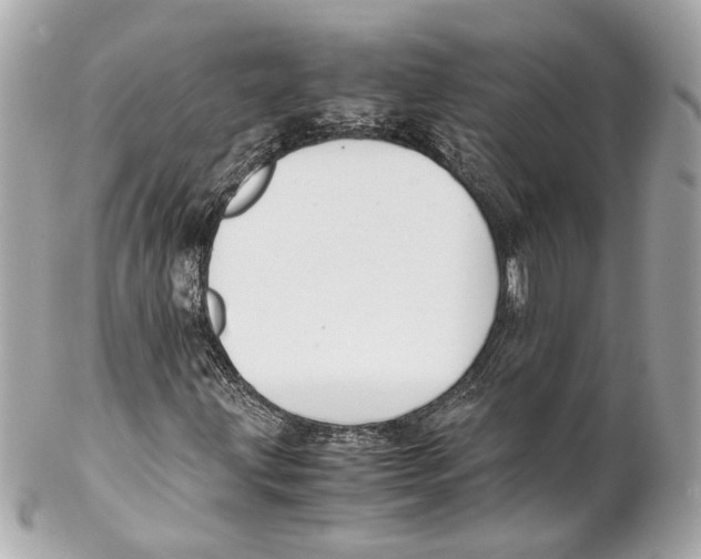 X0000102031203200808151332