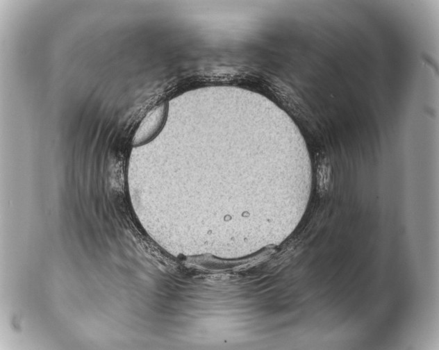 X0000102031204200808151332