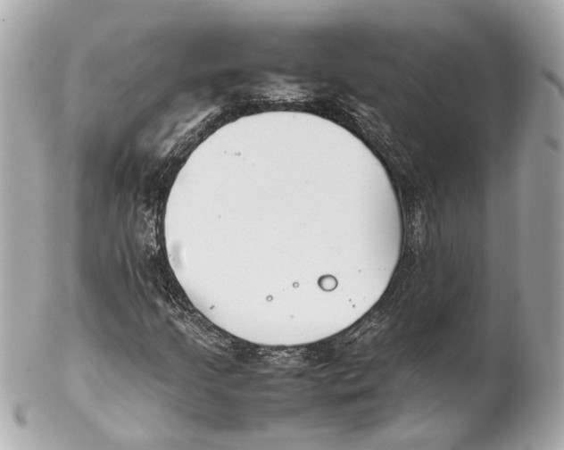 X0000102031205200808151332