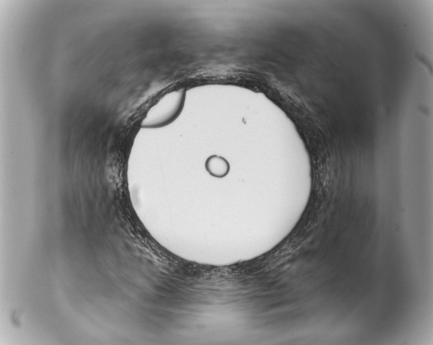 X0000102031206200808151332