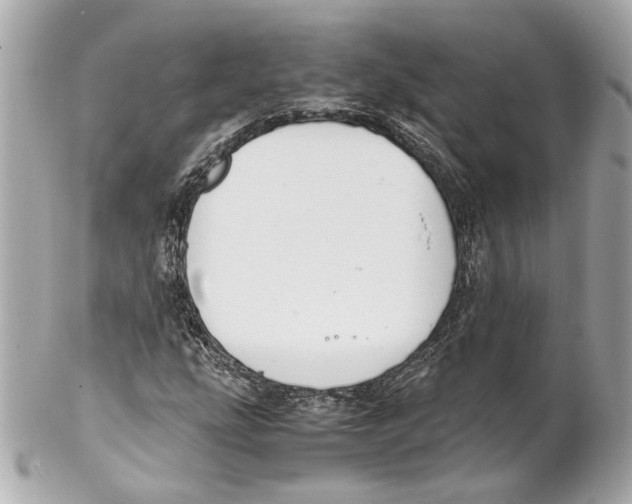 X0000102031207200808151332