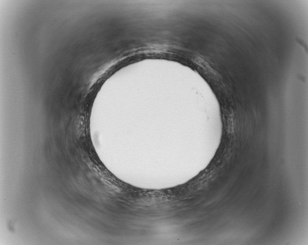 X0000102031208200808151332