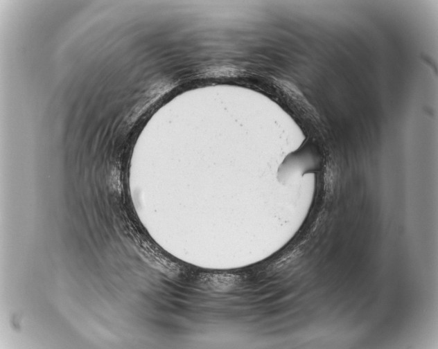 X0000102031209200808151332