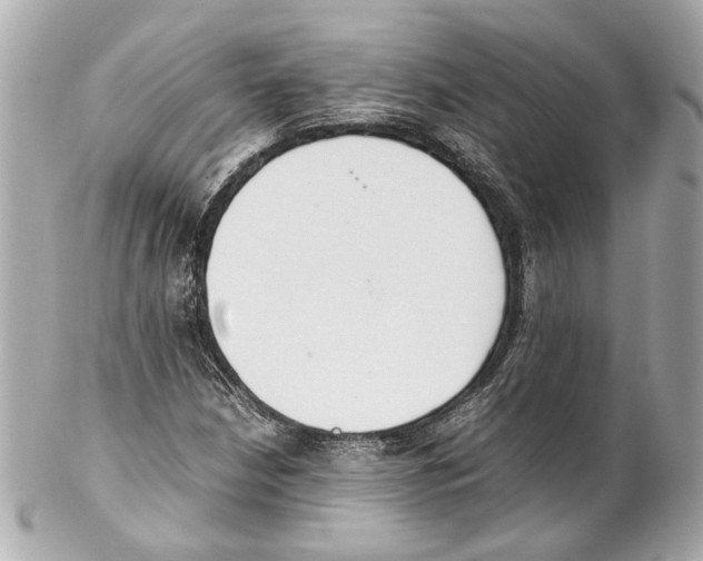 X0000102031210200808151332